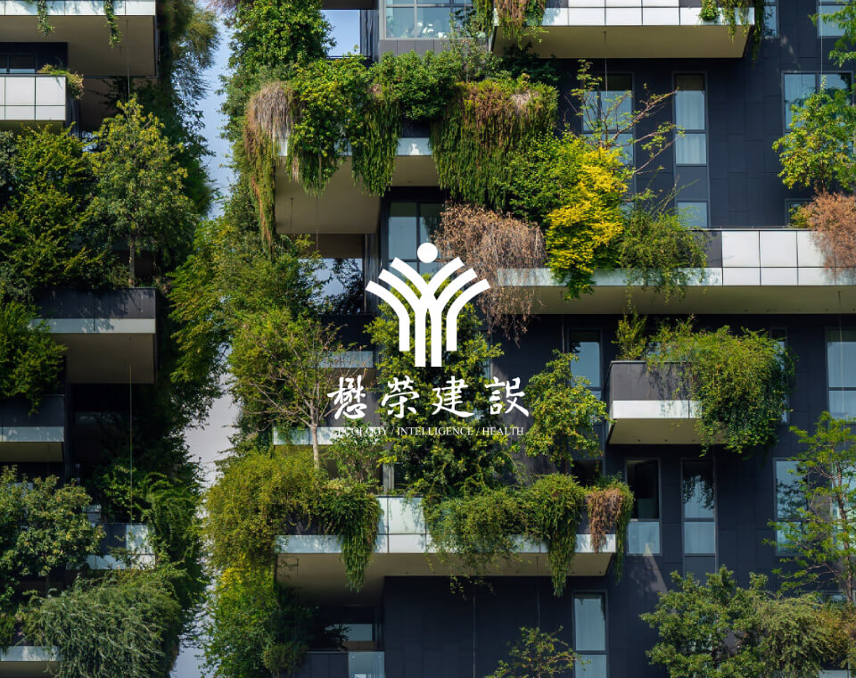 懋荣建设 网页设计案例